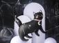 Preview: XXL Folieballon Figur - Schwarze Katze - 96cm x 95cm